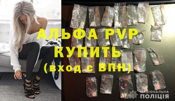 хмурый Белокуриха
