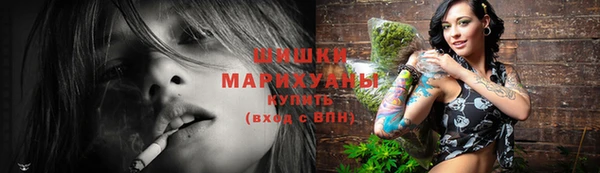 хмурый Белокуриха