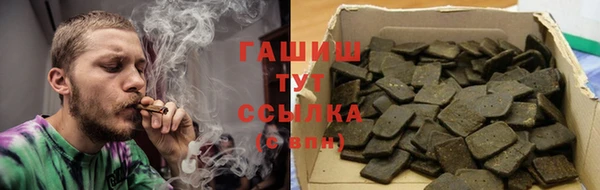 хмурый Белокуриха