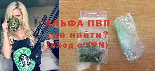 хмурый Белокуриха