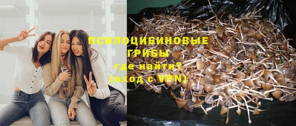 герыч Ступино