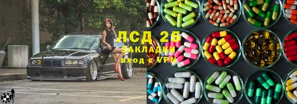 хмурый Белокуриха