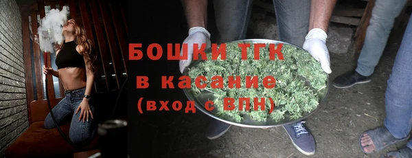 хмурый Белокуриха