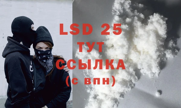 хмурый Белокуриха