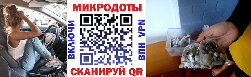 Галлюциногенные грибы MAGIC MUSHROOMS Гатчина