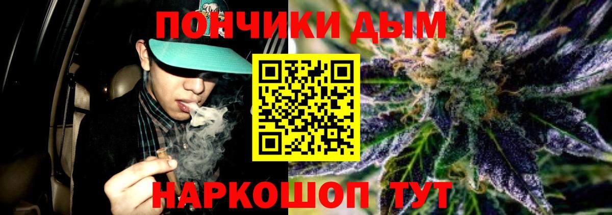 Гатчина  МАРИХУАНА ГИДРОПОН  Марихуана Bruce Banner  Каннабис семена  Вход с VPN 